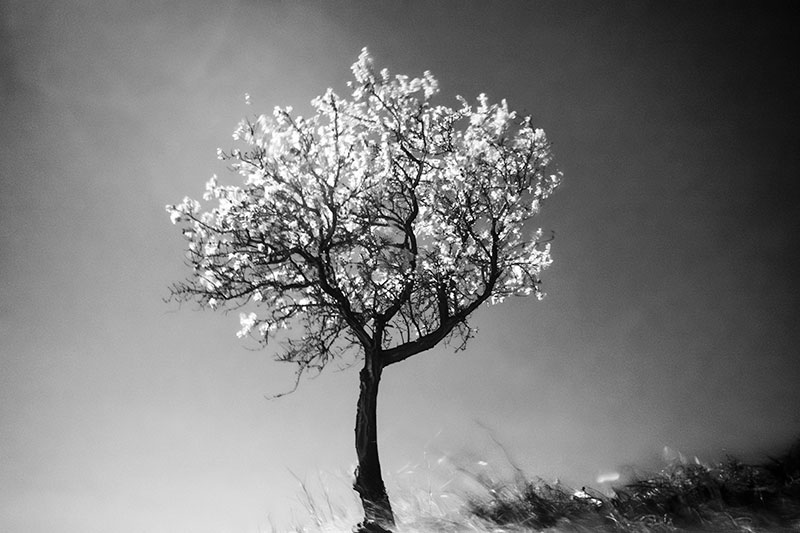 michaelbennounphotography